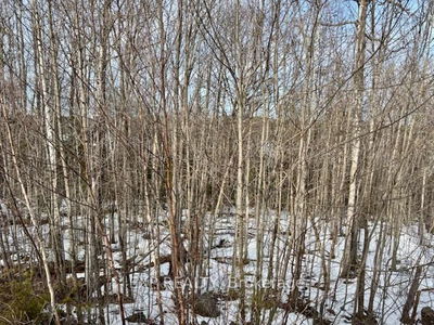 149-1 Arbor Vitae Rd, Barry's Bay - Madawaska Valley image-0-2
