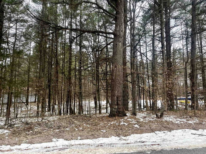 P7 CLEAR LAKE Rd, Rideau Lakes - Rideau Lakes (South Crosby) Twp image-0-0
