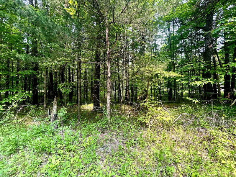 P7 CLEAR LAKE Rd, Rideau Lakes, K0G 1E0 | Image 2