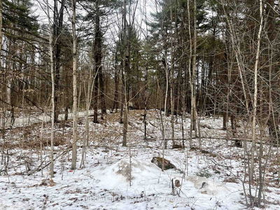 P7 CLEAR LAKE Rd, Rideau Lakes - Rideau Lakes (South Crosby) Twp image-0-1