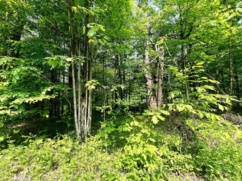 P7 CLEAR LAKE Rd, Rideau Lakes, K0G 1E0 | Image 3