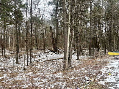 P7 CLEAR LAKE Rd, Rideau Lakes - Rideau Lakes (South Crosby) Twp image-0-2