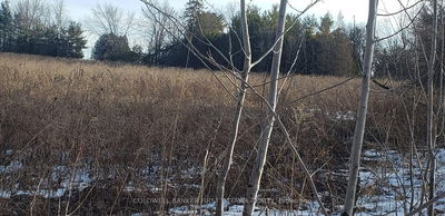 7500 SPRINGHILL Rd, Metcalfe - Osgoode Twp (East) (Incl Kenmore)