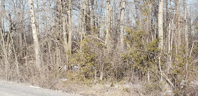 7500 SPRINGHILL Rd, Metcalfe - Osgoode Twp (East) (Incl Kenmore) image-0-1