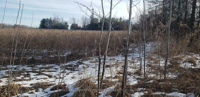 7500 SPRINGHILL Rd, Metcalfe - Osgoode Twp (East) (Incl Kenmore) image-0-4