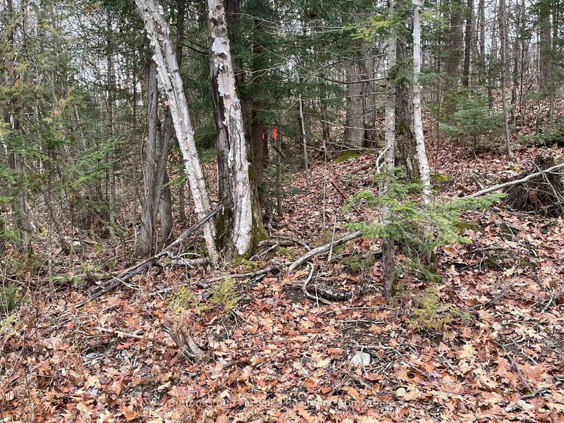 48 SPRING HILL RD, McKellar - McKellar image-0-0