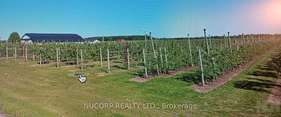 225863 Otterville Rd, Norwich - Rural Norwich image-0-1