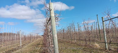 225863 Otterville Rd, Norwich - Rural Norwich image-0-3