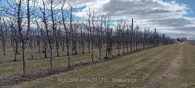 225863 Otterville Rd, Norwich - Rural Norwich image-0-4
