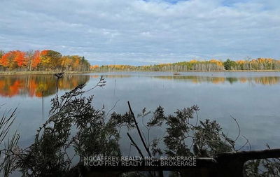249 Barrett Rd, Stone Mills - Stone Mills image-0-2