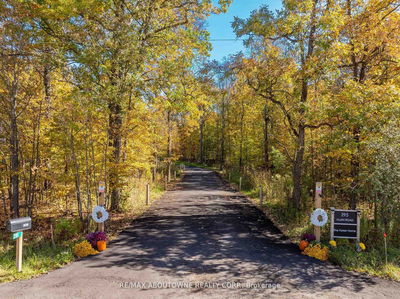 295 Allen Rd, Grimsby - Grimsby Escarpment image-0-1