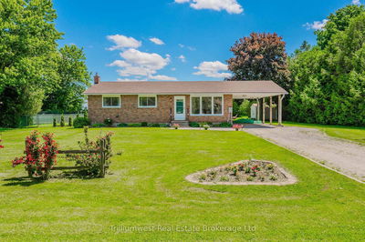 21 Emma St, Blandford-Blenheim - Rural Blandford-Blenheim image-0-3