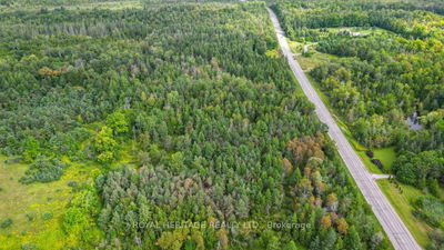  County Road 25, Cramahe - Rural Cramahe image-0-3