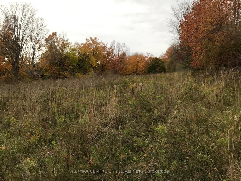 LOT # 7 - 60 North St, Bayham, N0J 1Z0 | Image 2