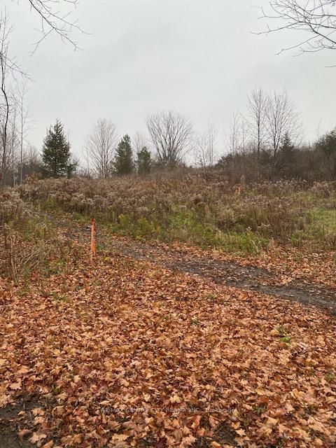 LOT # 7 - 60 North St, Bayham, N0J 1Z0 | Image 3