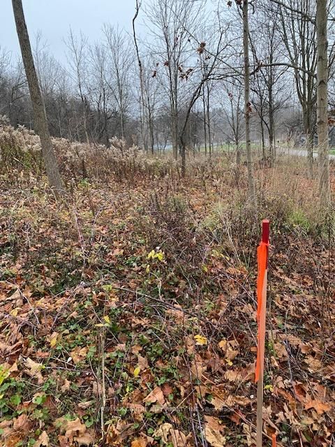 Lot #2 - 40 North St, Bayham, N0J 1Z0 | Image 3