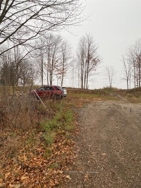 Lot 1 - 36 North St, Bayham, N0J 1Z0 | Image 3