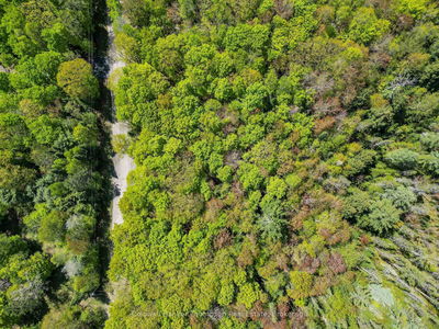 989 North Waseosa Lake Rd, Huntsville - Chaffey image-0-1