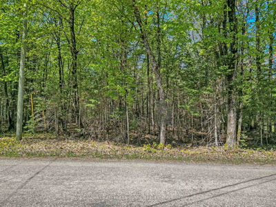 989 North Waseosa Lake Rd, Huntsville - Chaffey image-0-4