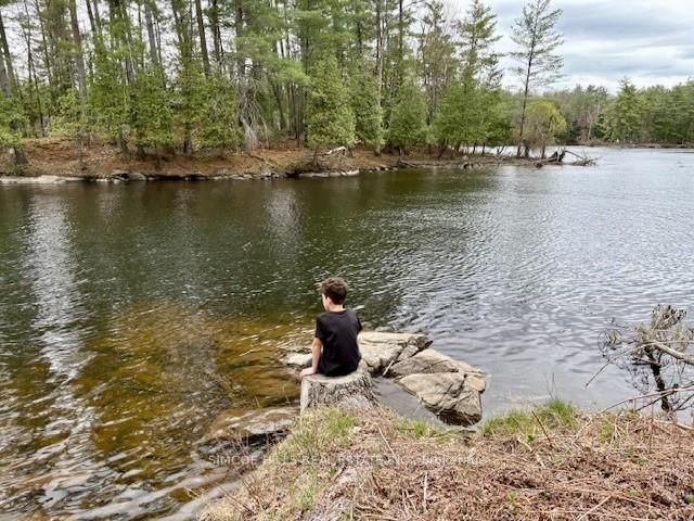 1110 Flanagan Tr, Gravenhurst - Wood (Gravenhurst) image-0-0
