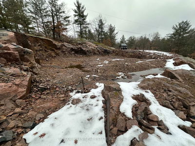 1110 Flanagan Tr, Gravenhurst - Wood (Gravenhurst) image-0-4