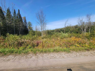  Patrick St, Magnetawan - Magnetawan image-0-1