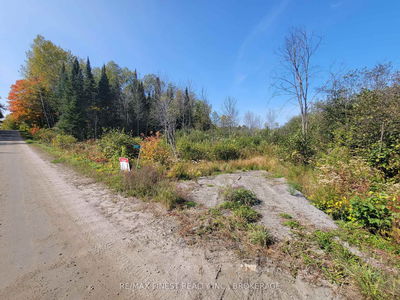  Patrick St, Magnetawan - Magnetawan image-0-2