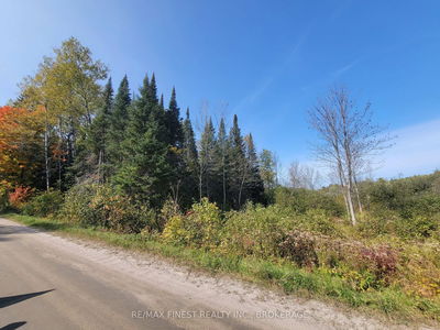  Patrick St, Magnetawan - Magnetawan image-0-3