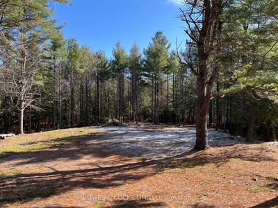 942 Balmer Rd, North Kawartha - Rural North Kawartha image-0-1