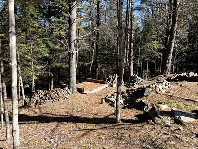 942 Balmer Rd, North Kawartha - Rural North Kawartha image-0-2