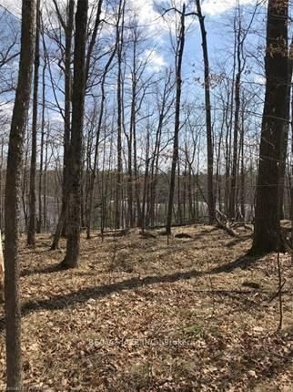 941 Northey's Bay (Next) Rd, North Kawartha - Rural North Kawartha image-0-2
