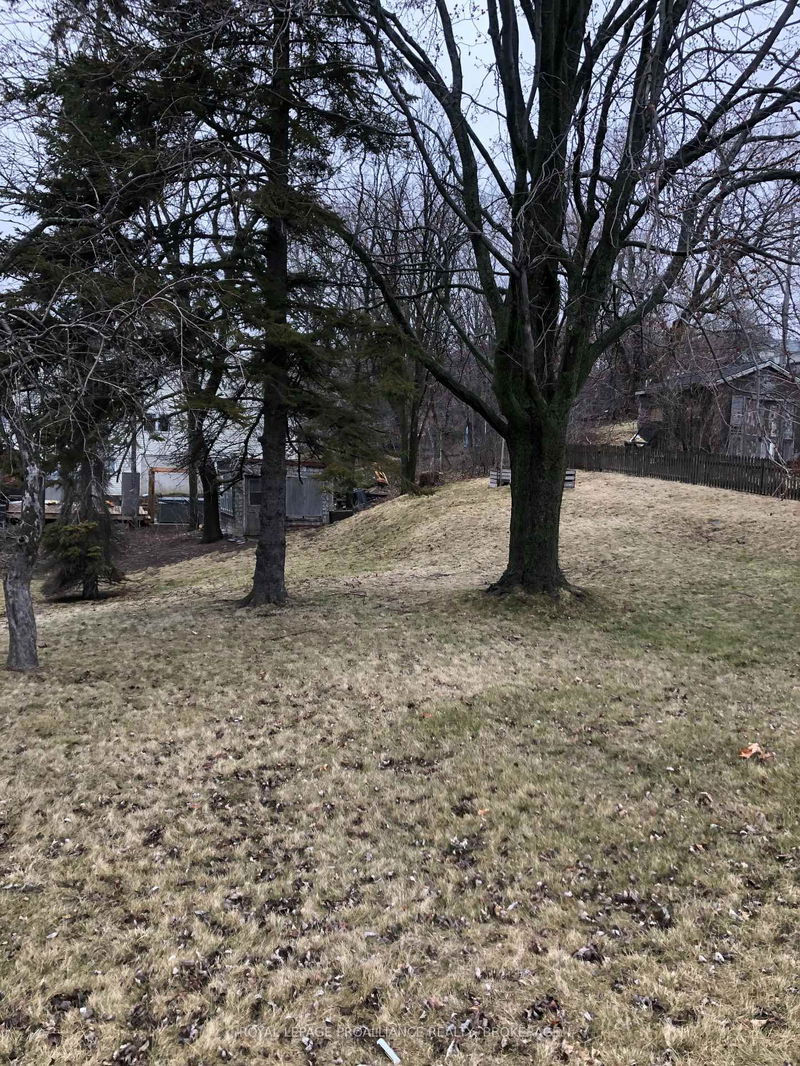 597 King St, Kingston - Central City West image-0-0