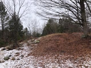 00 ARMSTRONG Line, Maberly - Bathurst/Burgess & Sherbrooke (South Sherbrooke) Twp image-0-1