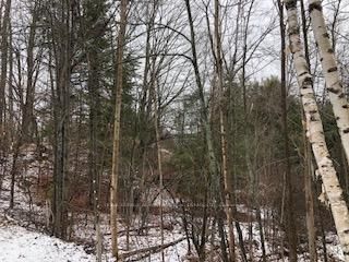 00 ARMSTRONG Line, Maberly - Bathurst/Burgess & Sherbrooke (South Sherbrooke) Twp image-0-2
