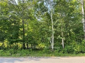 Lot C Parcher Rd, Barry's Bay - Madawaska Valley