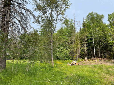 19 Belmont St, Sundridge - Sundridge image-0-2