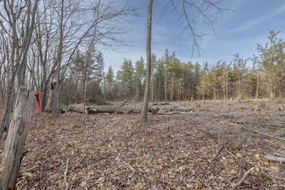 PT 11 Meach Rd, Kaladar - Greater Napanee image-0-4