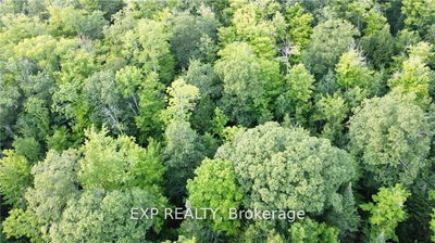 Lot A Chippawa Rd, Barry's Bay - Madawaska Valley