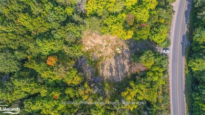 1205 Little Hawk Lake Rd, Algonquin Highlands -  image-0-1