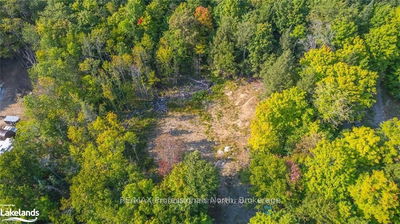 1205 Little Hawk Lake Rd, Algonquin Highlands -  image-0-2