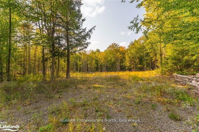 1205 Little Hawk Lake Rd, Algonquin Highlands -  image-0-4