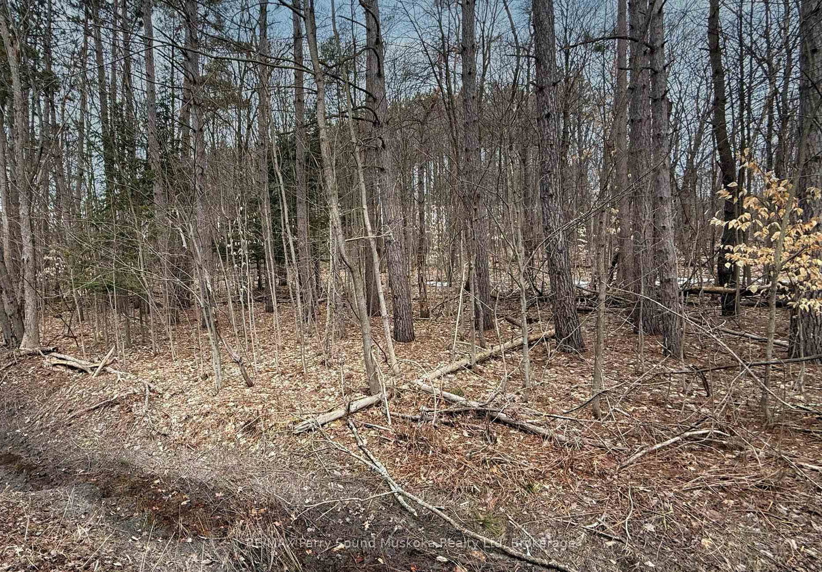 Listing Image 3