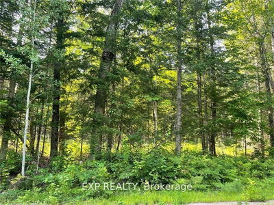 Lot B Chippawa Rd, Barry's Bay - Madawaska Valley