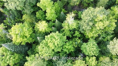 Lot B Chippawa Rd, Barry's Bay - Madawaska Valley image-0-2