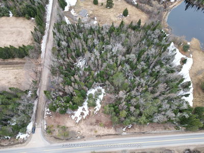 3025 Gelert Rd, Minden Hills - Snowdon image-0-2