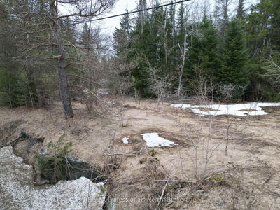 3025 Gelert Rd, Minden Hills - Snowdon image-0-3