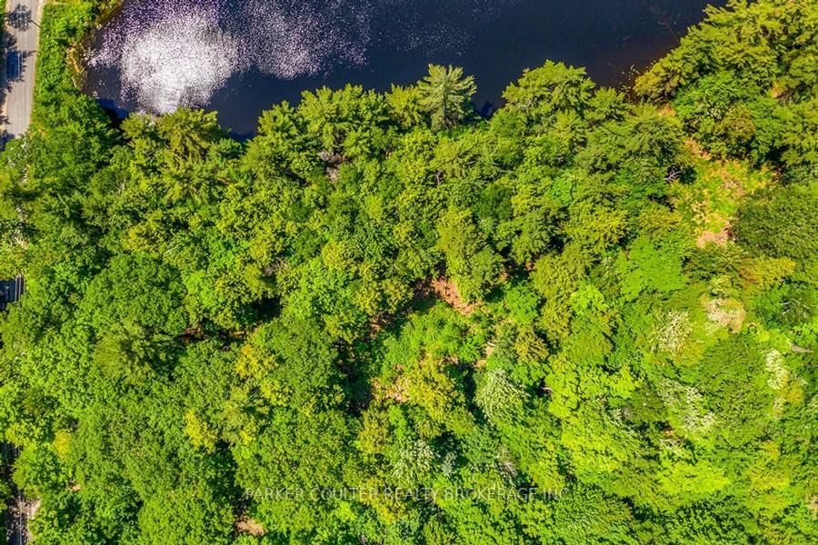 Vacant Land for sale at 29 Bear Lake Road, Georgian Bay, Freeman, P0C 1H0 - MLS: X12082432