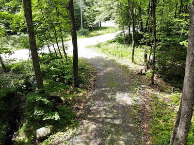 63 SANDY PLAINS Rd, Seguin - Seguin image-0-1