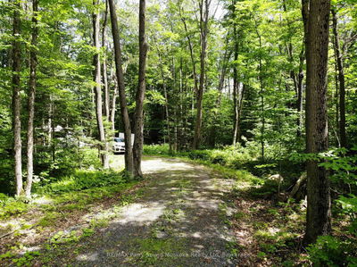 63 SANDY PLAINS Rd, Seguin - Seguin image-0-2