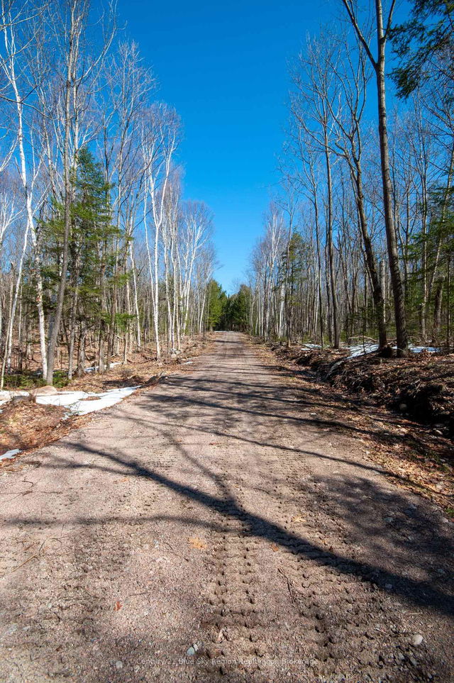 LOT 16 GRAND DESERT Road